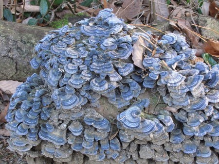 �o��Ƃ�悪��