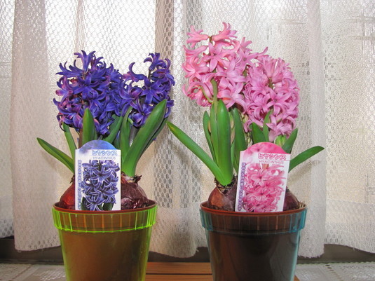 �o��Ƃ�悪��