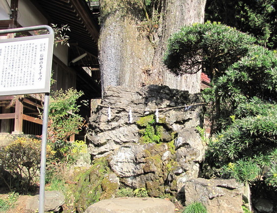 �o��Ƃ�悪��