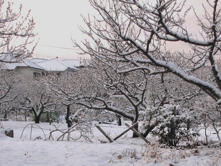 �o��Ƃ�悪��