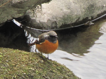 �o��Ƃ�悪��