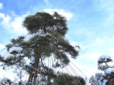 �o��Ƃ�悪��