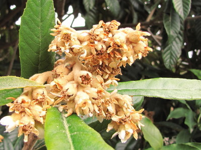 �o��Ƃ�悪��