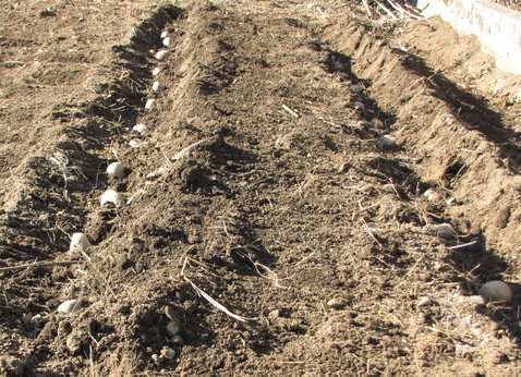 �o��Ƃ�悪��