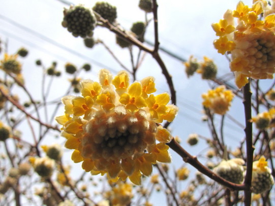 �o��Ƃ�悪��