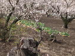 �o��Ƃ�悪��