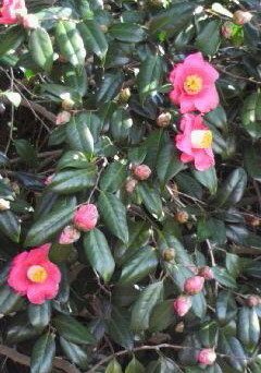 �o��Ƃ�悪��