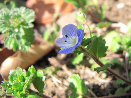 �o��Ƃ�悪��