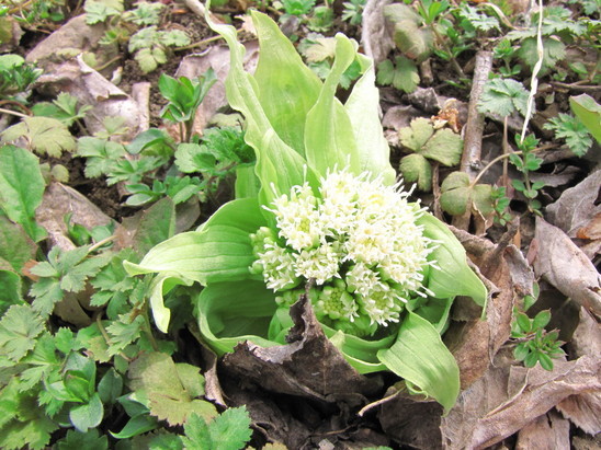 �o��Ƃ�悪��