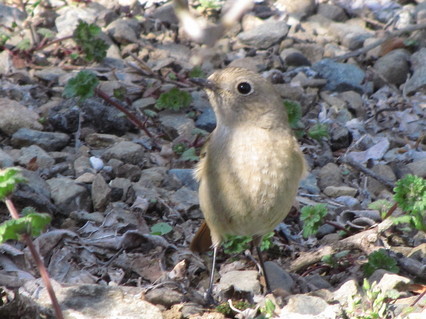 �o��Ƃ�悪��