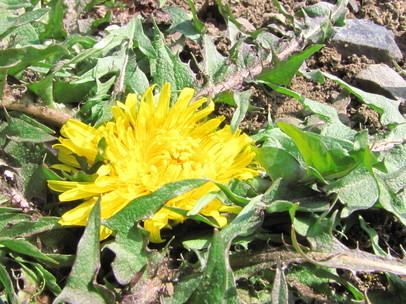 �o��Ƃ�悪��