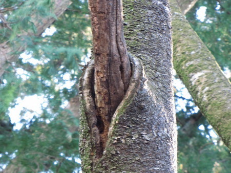 �o��Ƃ�悪��