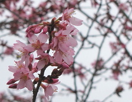 �o��Ƃ�悪��