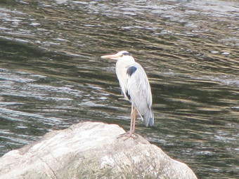 �o��Ƃ�悪��