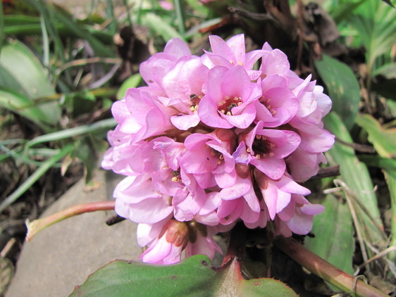 �o��Ƃ�悪��