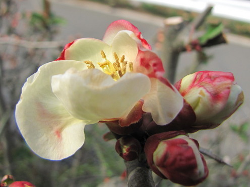 �o��Ƃ�悪��