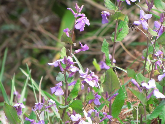 �o��Ƃ�悪��