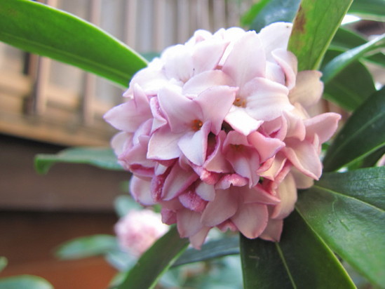 �o��Ƃ�悪��