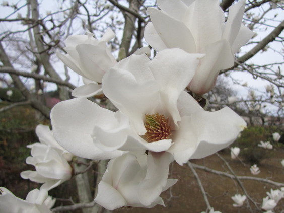 �o��Ƃ�悪��