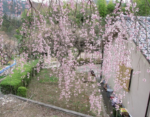 �o��Ƃ�悪��