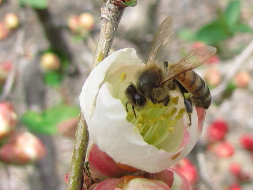 �o��Ƃ�悪��