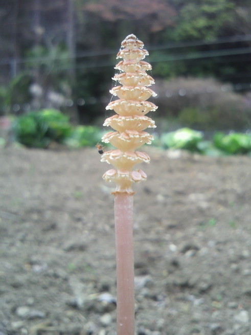 �o��Ƃ�悪��