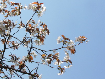 �o��Ƃ�悪��