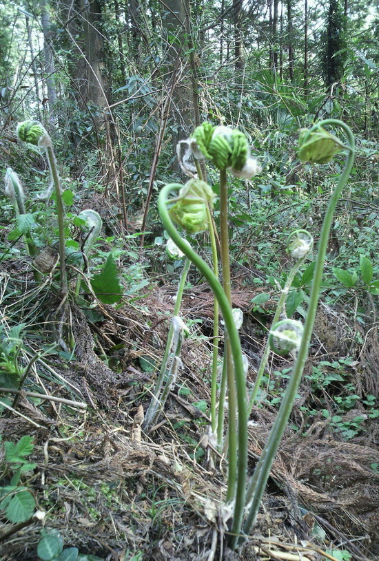 �o��Ƃ�悪��