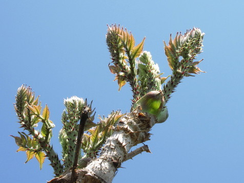 �o��Ƃ�悪��