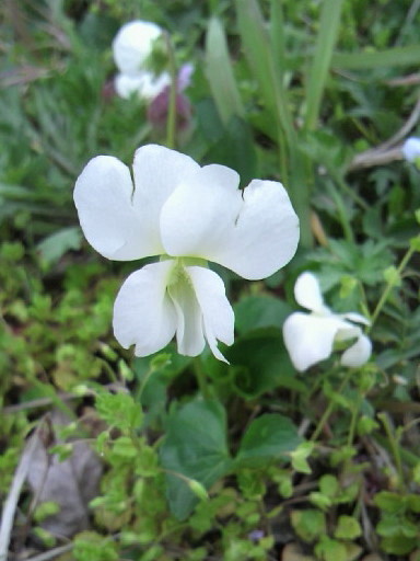 �o��Ƃ�悪��