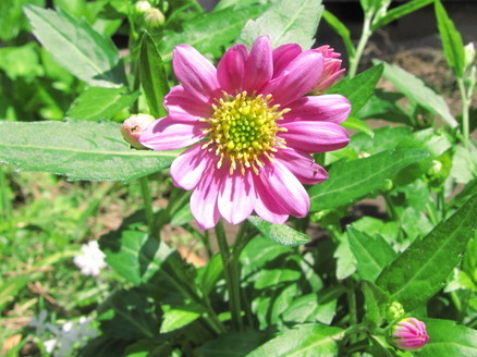 �o��Ƃ�悪��