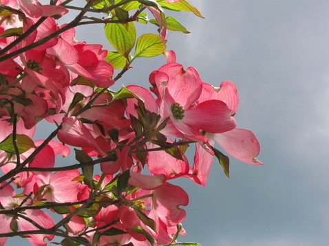 �o��Ƃ�悪��