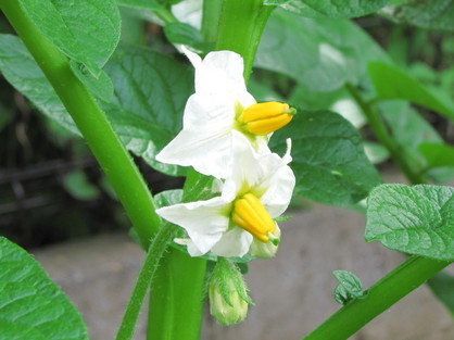 �o��Ƃ�悪��