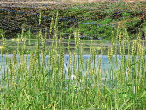 �o��Ƃ�悪��