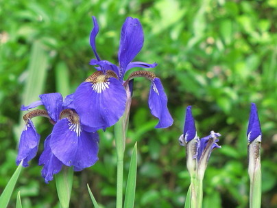 �o��Ƃ�悪��