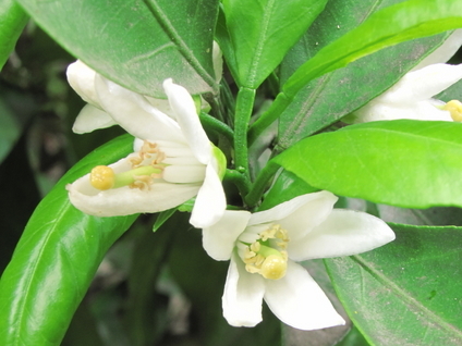 �o��Ƃ�悪��