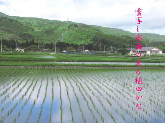 �o��Ƃ�悪��