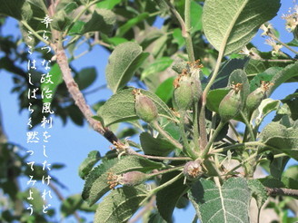 �o��Ƃ�悪��