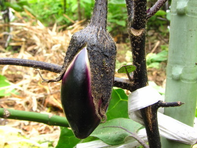 �o��Ƃ�悪��