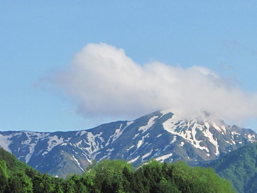 �o��Ƃ�悪��