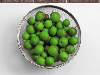 �o��Ƃ�悪��