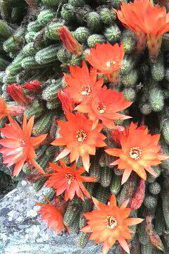 �o��Ƃ�悪��