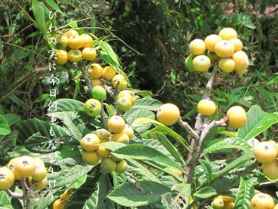 �o��Ƃ�悪��