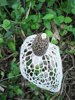 �o��Ƃ�悪��