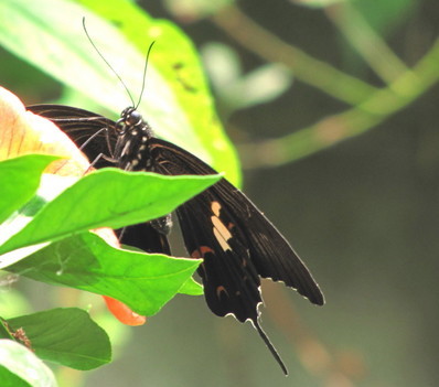 �o��Ƃ�悪��