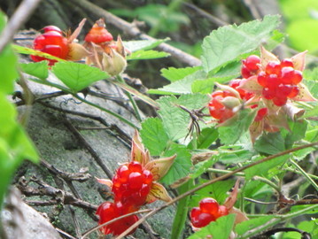 �o��Ƃ�悪��