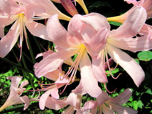 �o��Ƃ�悪��