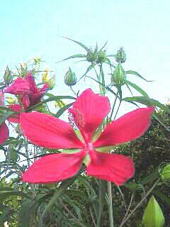 �o��Ƃ�悪��