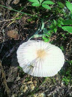 �o��Ƃ�悪��