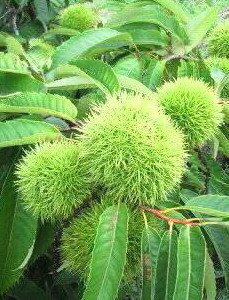 �o��Ƃ�悪��